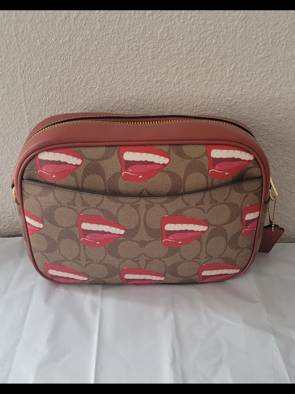 Coach X Tom Wesselmann Jamie Camera Bag